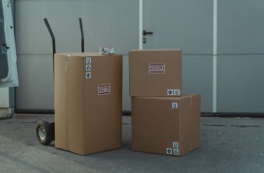 Cuddle shipment